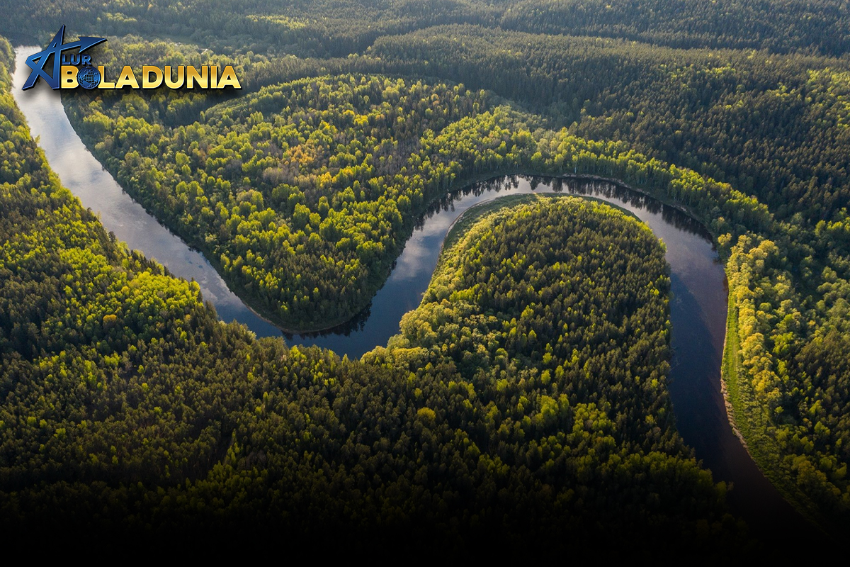 Sungai Amazon: Keajaiban Alam yang Tak Tertandingi