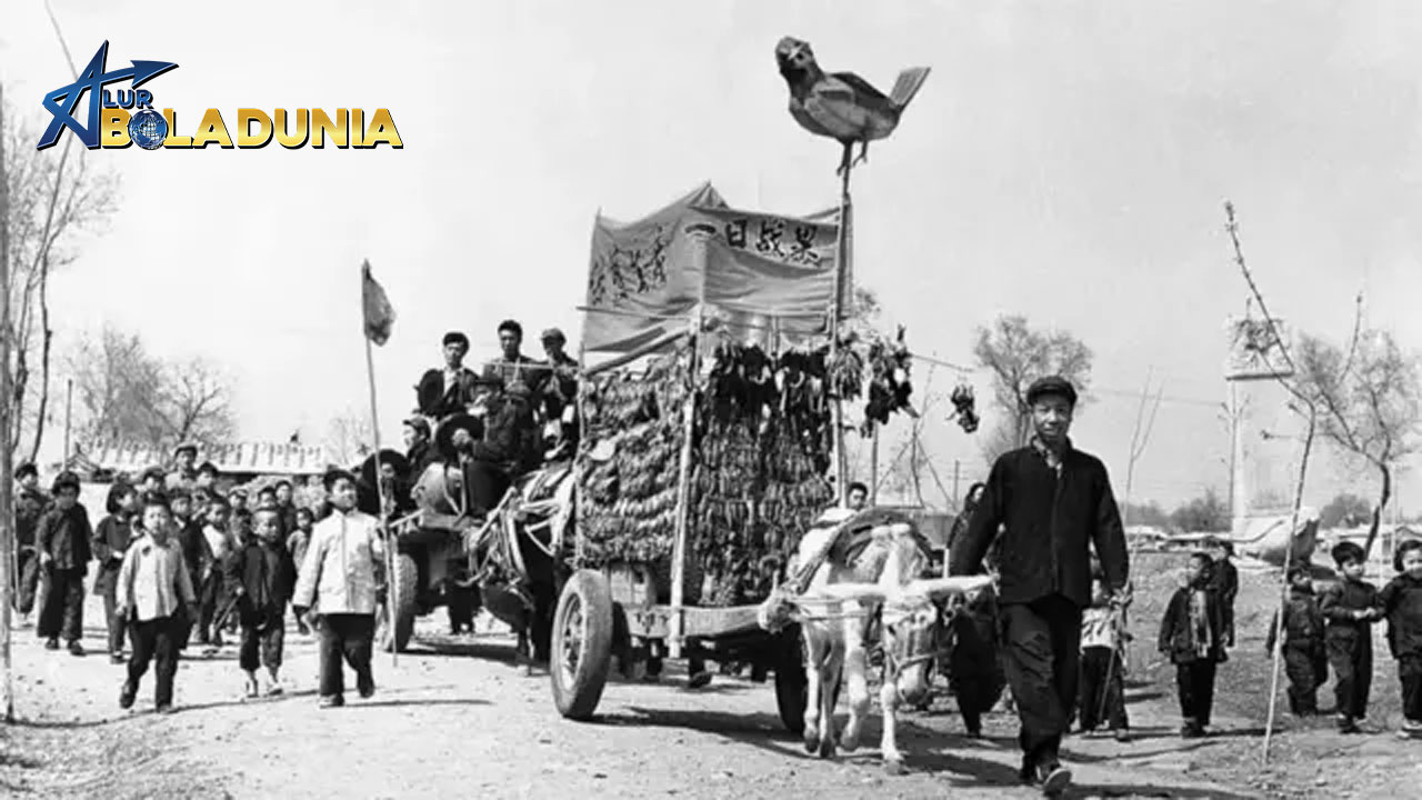 Perang Burung: Ketika Ideologi Mengalahkan Alam dan Memakan Bangsanya Sendiri