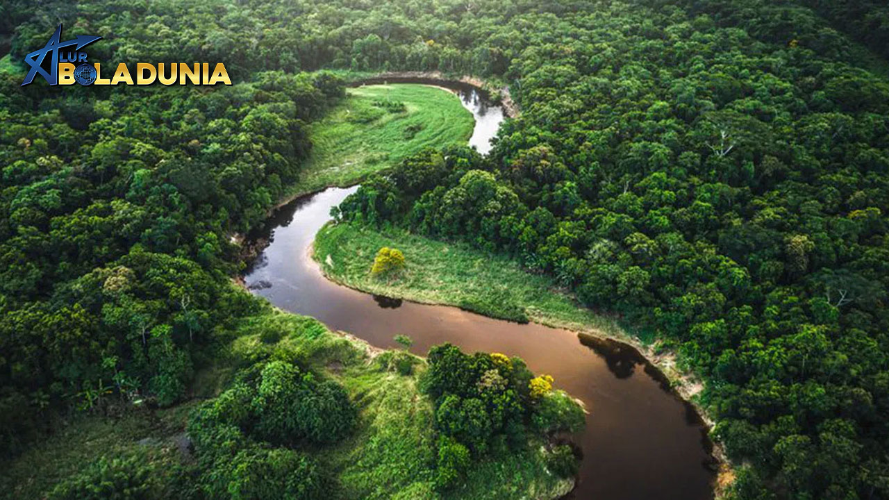 Misteri Peradaban yang Hilang di Hutan Amazon